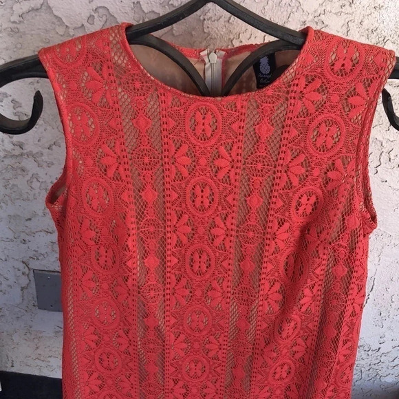 Pineapple clothing lovely lace effect overlay dress. Size small. - Picture 2 of 10